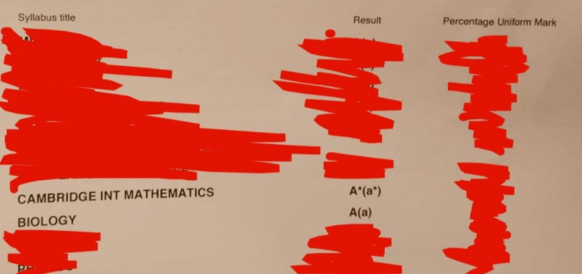半年補習 IGCSE Bio n math 由僅僅取B升到A n A*的關鍵